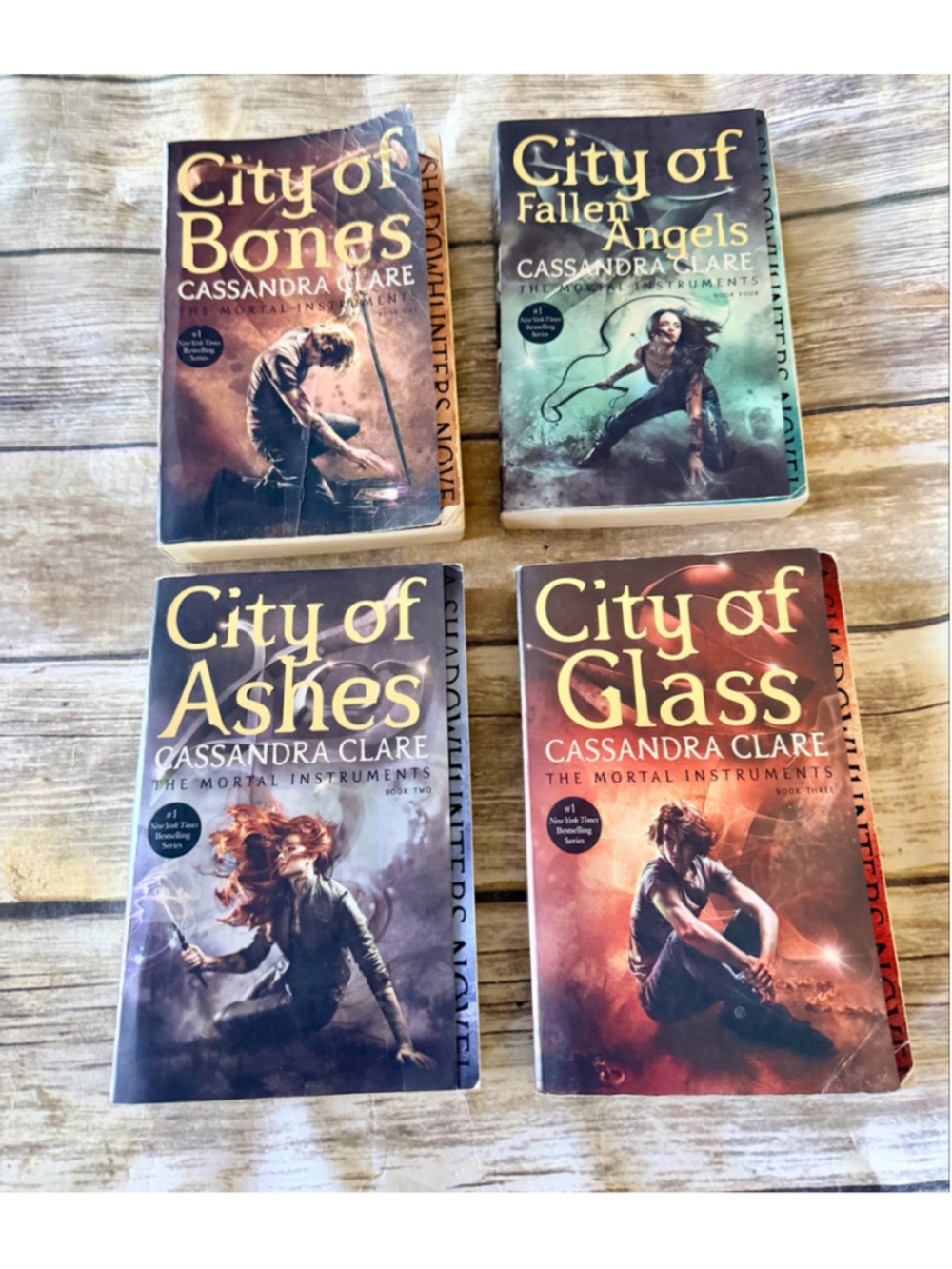 Cassandra Clare Book Series Bundle